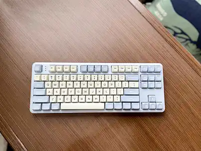 87 Keys TKL Hot Swappable Programmable Wired Mechanical Keyboard